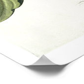 ナス： Melanzana fructu pallido、'Horから ポスター (角)