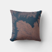 ナセル湖 クッション (正面)