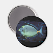 ナソタン マグネット (正面/裏面)