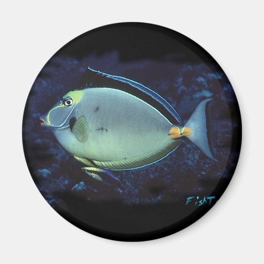 ナソタン マグネット (正面)