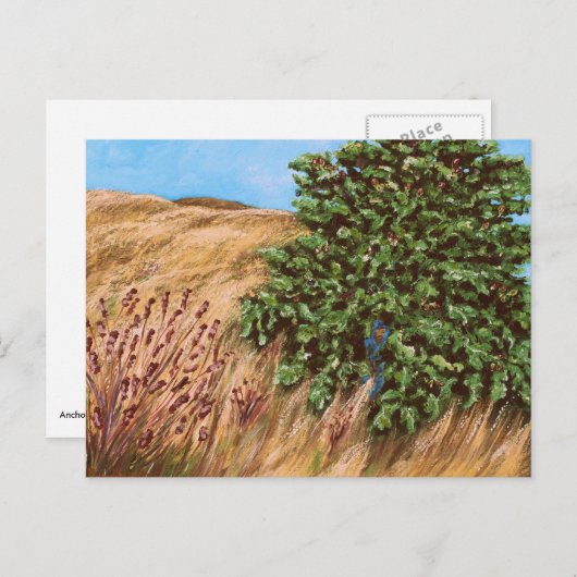 ナタナエルとイチジクの木はがき ポストカード (正面/裏面)