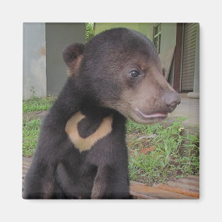 ナタリー磁石 マグネット