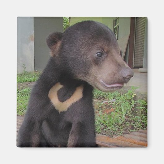 ナタリー磁石 マグネット (正面)