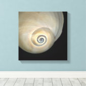 ナチス貝 キャンバスプリント (インサイチュ (ウッドフロア))