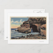 ナチュラルアーチエメラルドコーブ ポストカード (正面/裏面)