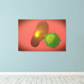 ナチュラルキラー細胞が毒素を注入する キャンバスプリント (インサイチュ (ウッドフロア))