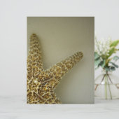 ナチュラルスターフィッシュ沿岸ビーチスクラップブック紙 (スタンド正面)