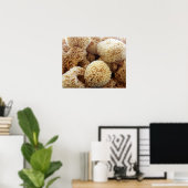 ナチュラルスポンジのポスター ポスター (ホームオフィス)