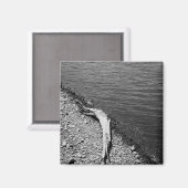 ナチュラルバランス – 流木スチルライフマグネット マグネット (正面/裏面)