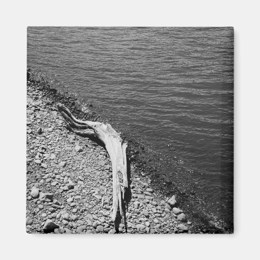 ナチュラルバランス – 流木スチルライフマグネット マグネット (正面)