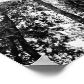 ナチュラルフィット（木の上） ポスター (角)