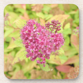 ナチュラルフラワーハート – 矢印でピアス。 コースター