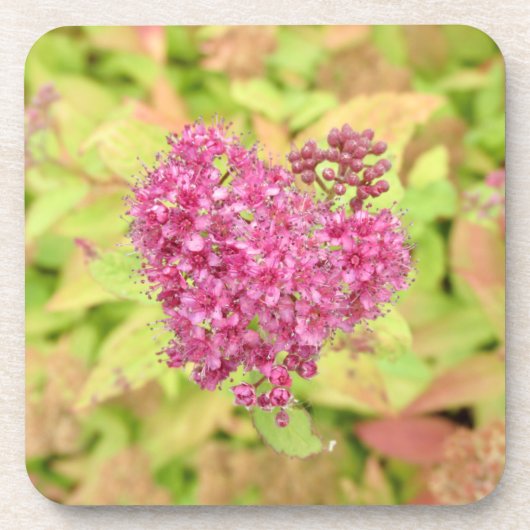 ナチュラルフラワーハート – 矢印でピアス。 コースター (正面)