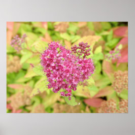 ナチュラルフラワーハート – 矢印でピアス。 ポスター