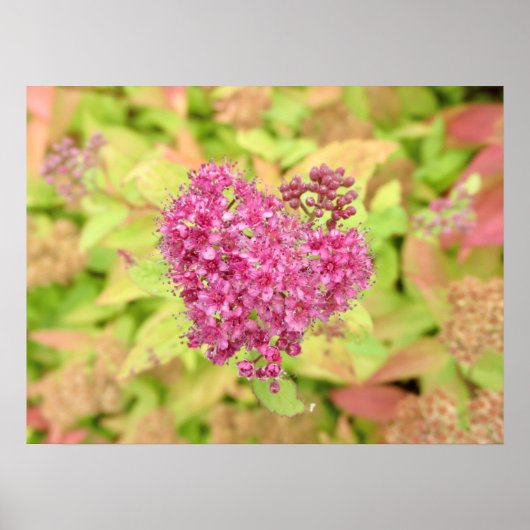 ナチュラルフラワーハート – 矢印でピアス。 ポスター (正面)