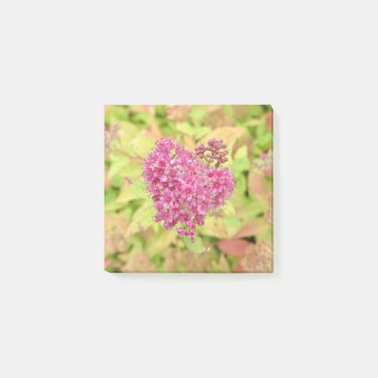 ナチュラルフラワーハート – 矢印でピアス。 ポストイット (正面)