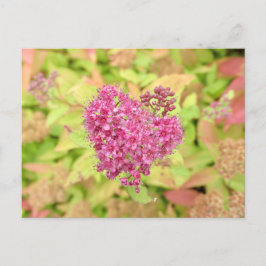 ナチュラルフラワーハート – 矢印でピアス。 ポストカード