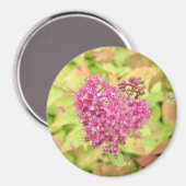 ナチュラルフラワーハート – 矢印でピアス。 マグネット (正面/裏面)