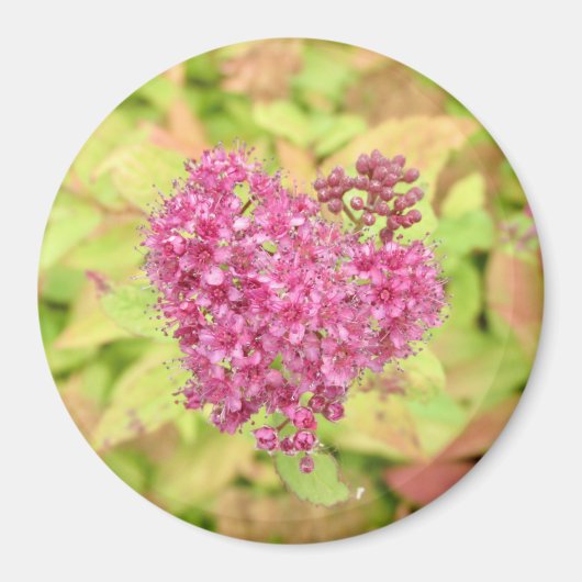 ナチュラルフラワーハート – 矢印でピアス。 マグネット (正面)