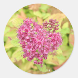 ナチュラルフラワーハート – 矢印でピアス。 ラウンドシール