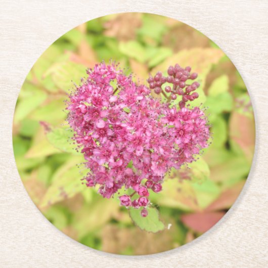 ナチュラルフラワーハート – 矢印でピアス。 ラウンドペーパーコースター (正面)