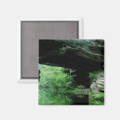 ナチュラルブリッジピケット州パークTN マグネット (正面/裏面)