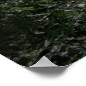 ナチュラルブリッジ ポスター (角)