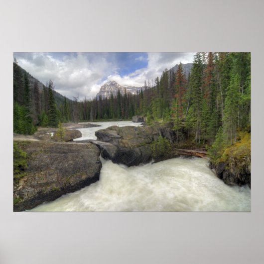 ナチュラルブリッジ ポスター (正面)