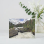 ナチュラルブリッジ ポストカード (スタンド正面)