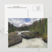 ナチュラルブリッジ ポストカード (正面/裏面)