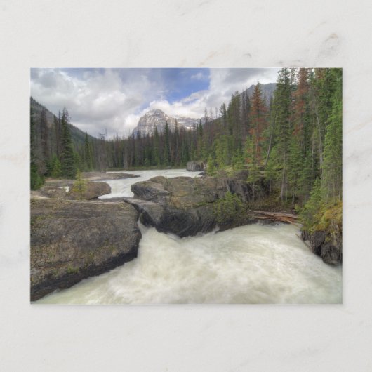 ナチュラルブリッジ ポストカード (正面)