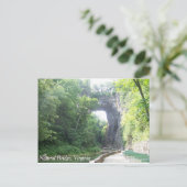 ナチュラルブリッジ ポストカード (スタンド正面)