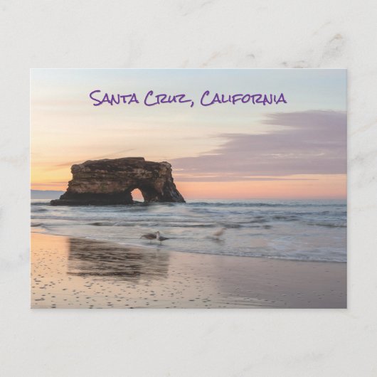 ナチュラルブリッジ ポストカード (正面)