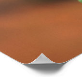 ナチュラルボトルブラシ(Greyia Sutherlandii)花 ポスター (角)