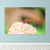 ナチュラルレッドトンボ キャンバスプリント (インサイチュ (ウッドフロア))