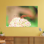 ナチュラルレッドトンボ キャンバスプリント (インサイチュ (リビング))