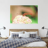 ナチュラルレッドトンボ キャンバスプリント (インサイチュ (寝室))