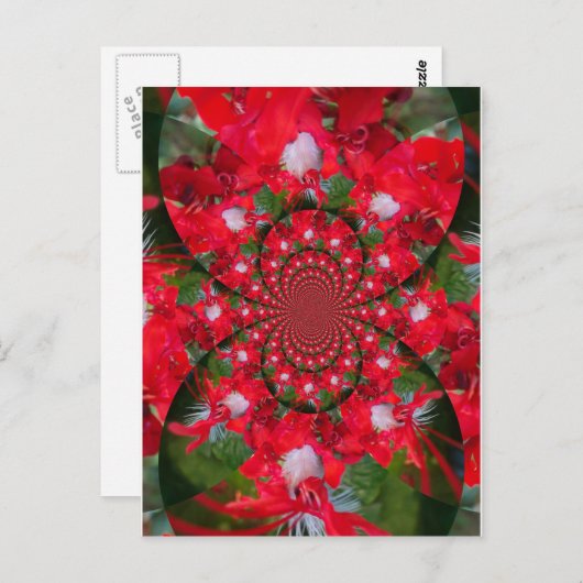 ナチュラルレッドフラワーホワイトフェザー万華鏡のように千変万化するパターンアート ポストカード (正面/裏面)