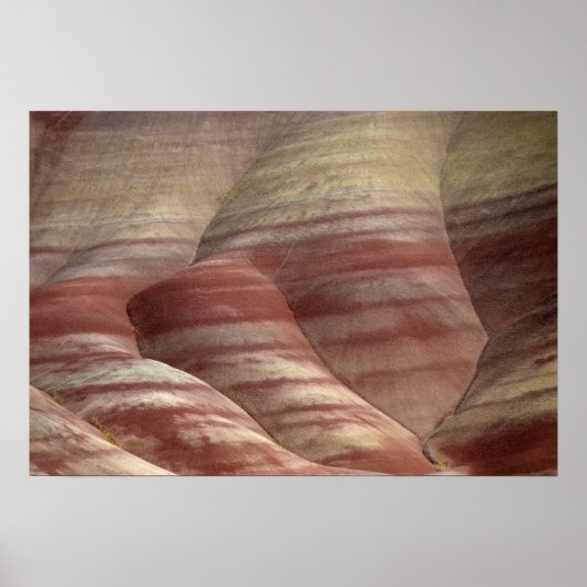 ナチュラルレッド色彩の鮮やかハイル ポスター (正面)