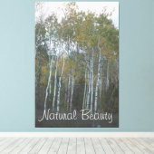 ナチュラル美しいホワイト樺の木 キャンバスプリント (インサイチュ (ウッドフロア))