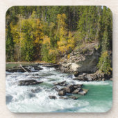 ナチュラル美しい、カナダフレイザー川 コースター (正面)