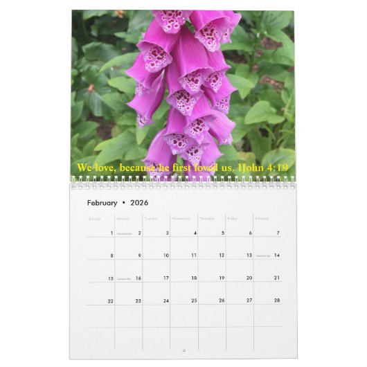 ナチュラ疑問に思感動的ル暦 カレンダー (2月 2026)