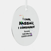 ナッサウ・ヴィヴィムス・カリブ。巡回熱帯スペクトル メタルオーナメント (正面右)