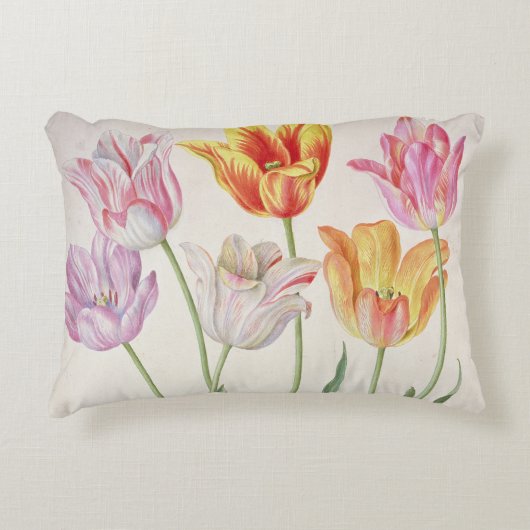 「ナッサウFlorilegium」のからのチューリップ、(w/c papeで アクセントクッション (正面)
