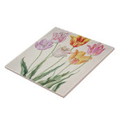 「ナッサウFlorilegium」のからのチューリップ、(w/c papeで タイル (側面)