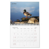 ナッシュビルの恋人 カレンダー (2月 2027)