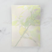 ナッシュビルウォーブラー カード (内部)