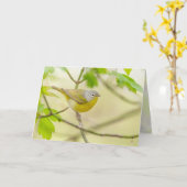 ナッシュビルウォーブラー カード (黄色い花)