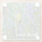 ナッシュビルウォーブラー ガラスコースター (裏面)