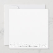 ナッシュビルカーペットフラットグリーティングカード カード (裏面)